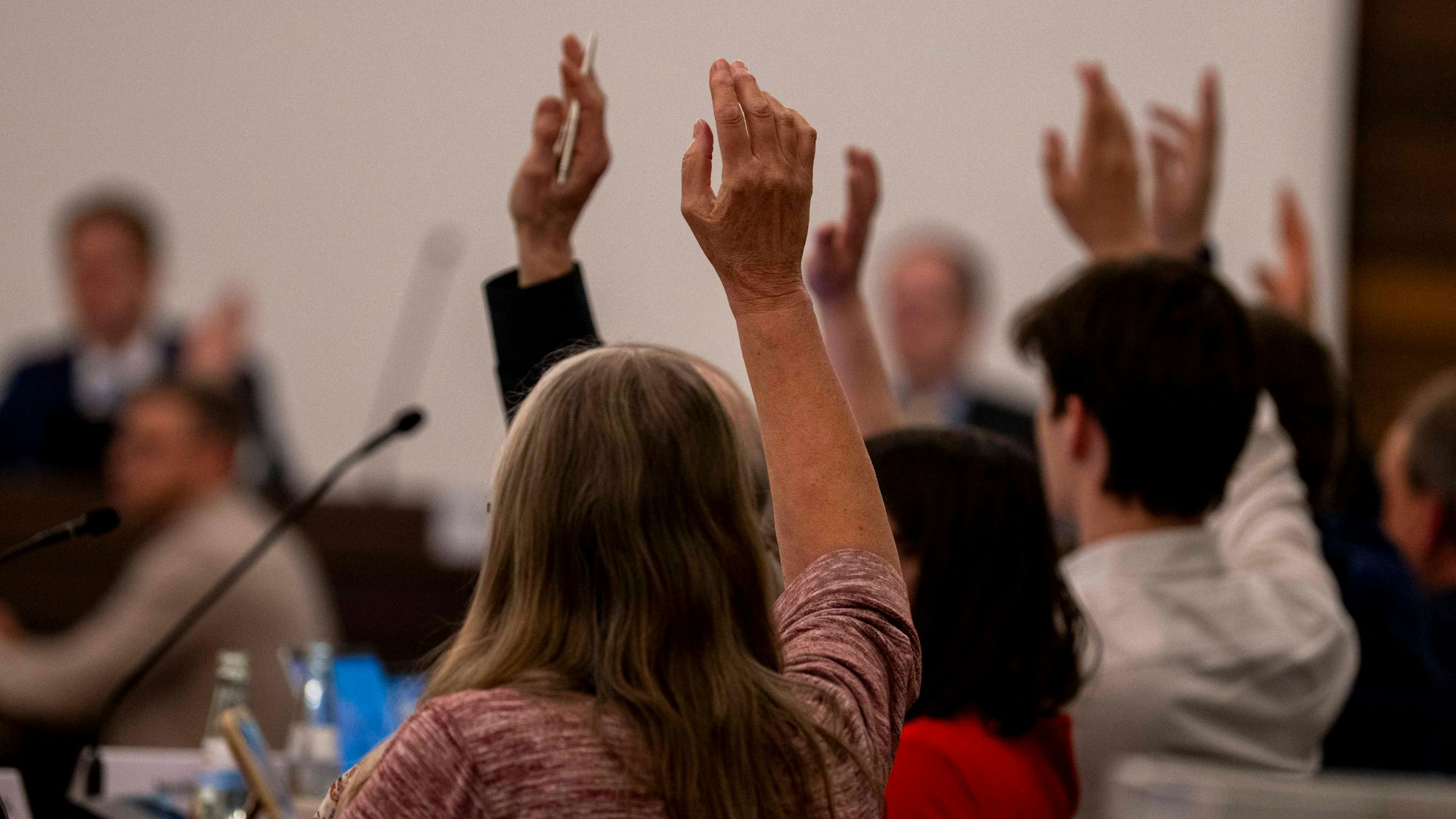 Das Bild zeigt Poltiker, die ihren Arm heben und so Zustimmung signalisieren.