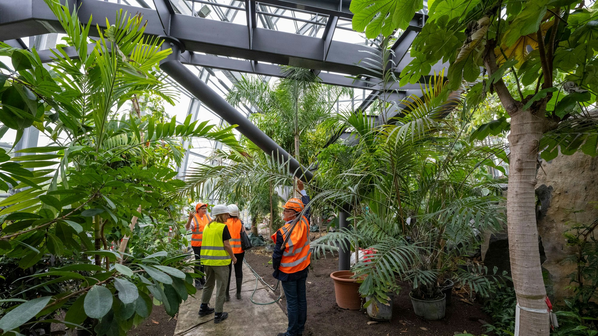 Ein Foto aus dem Herbst 2023, der Höhenweg ist noch im Bau.