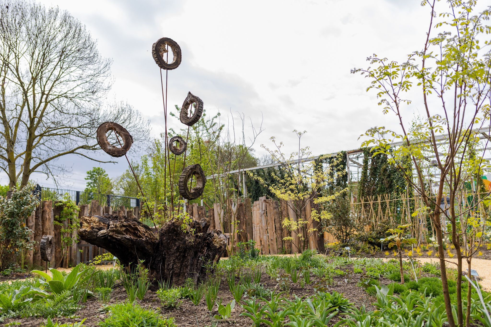Ein Garten mit einer alten Baumwurzel in der Mitte.