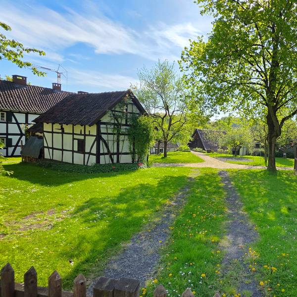 Fachwerkhäuser stehen auf einer Wiese.