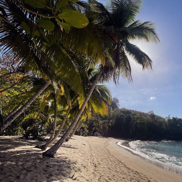 Da die Flüge über Arabien in den Pazifikraum ungewiss sind, weichen viele Reisende auf Warmwasserziele in der Karibik aus, wie hier Tobago