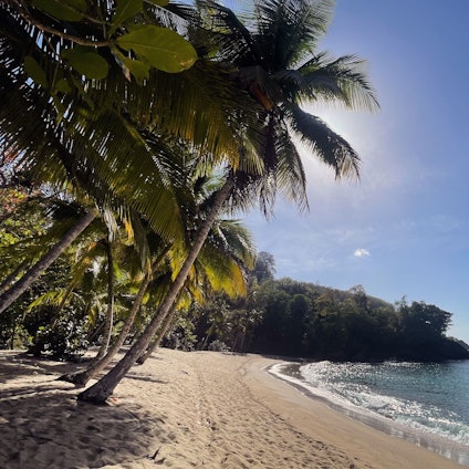 Da die Flüge über Arabien in den Pazifikraum ungewiss sind, weichen viele Reisende auf Warmwasserziele in der Karibik aus, wie hier Tobago