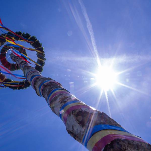 Ein Maibaum steht vor einem blauen Himmel, mit bunten, flatternden Bändern.