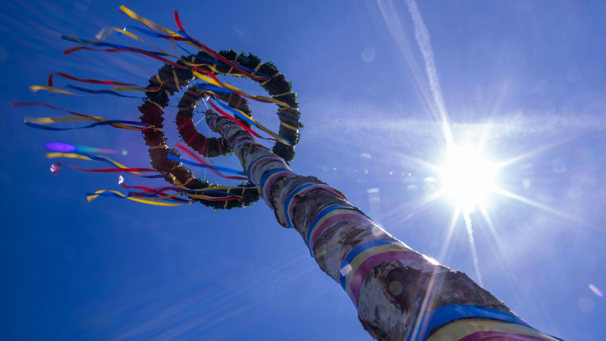 Ein Maibaum steht vor einem blauen Himmel, mit bunten, flatternden Bändern.