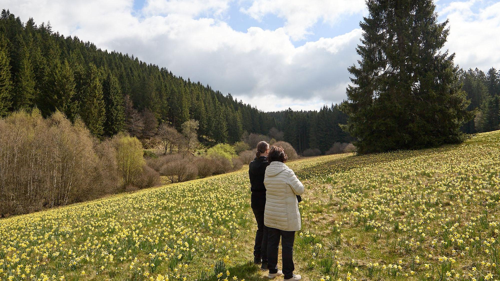 Zwei Frauen stehen auf einer Wiese voller gelber Narzissen.
