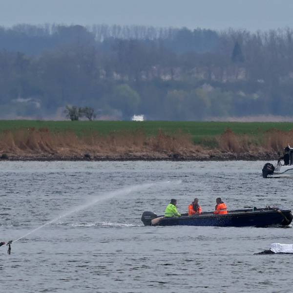 Ein Helfer korrigiert den Wasserstrahl zur Befeuchtung des Rückens des gestrandeten Buckelwals vor der Insel Poel.