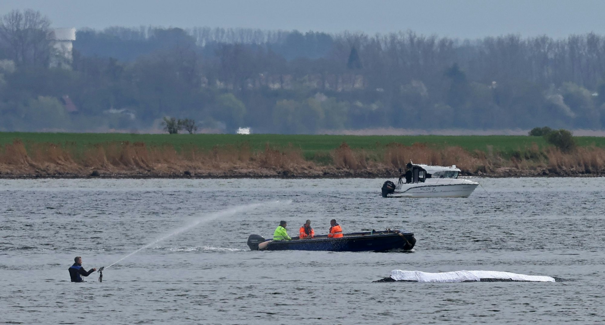 Ein Helfer korrigiert den Wasserstrahl zur Befeuchtung des Rückens des gestrandeten Buckelwals vor der Insel Poel.