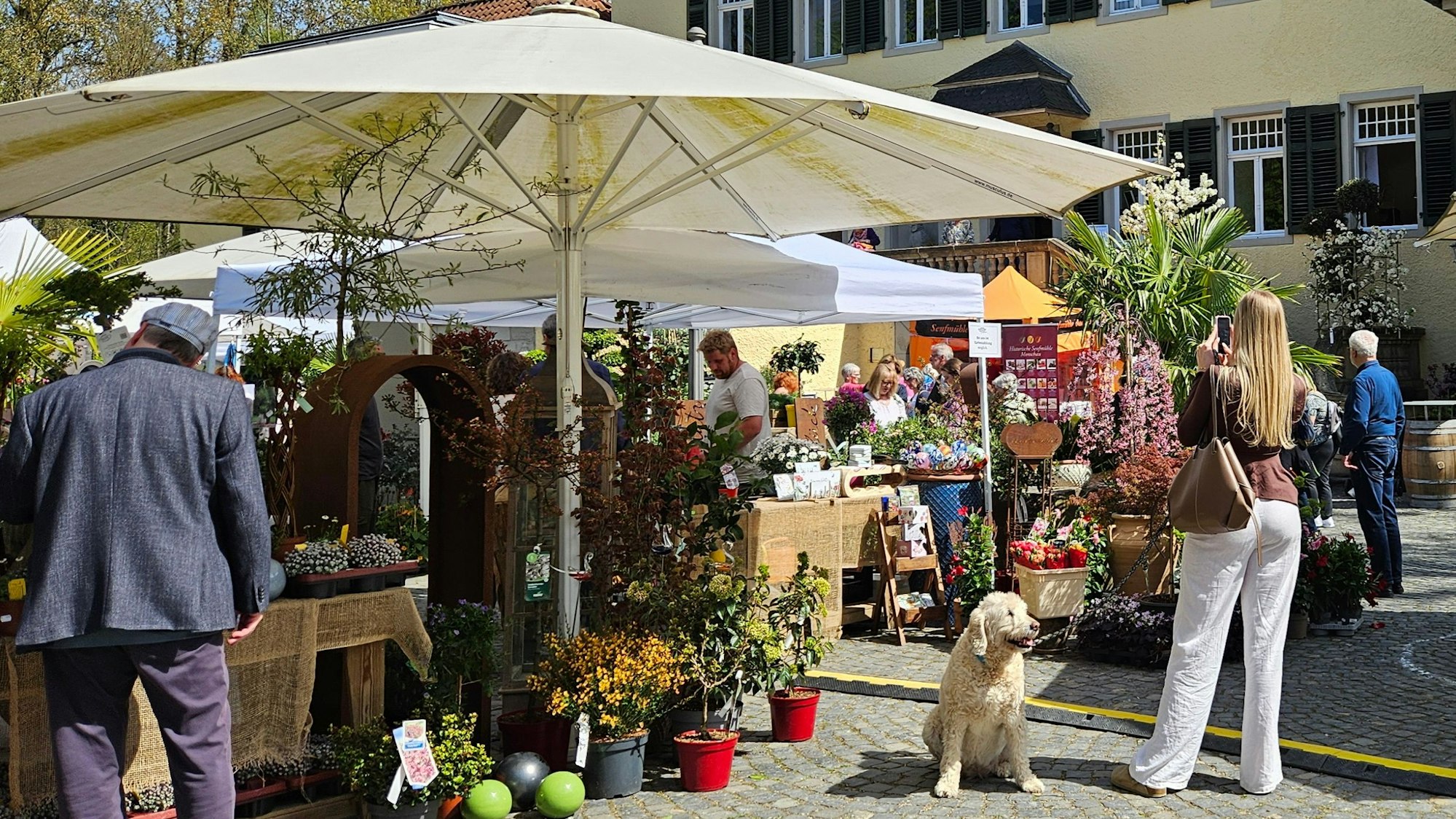 Unter Schirmen stehen Verkaufstände.