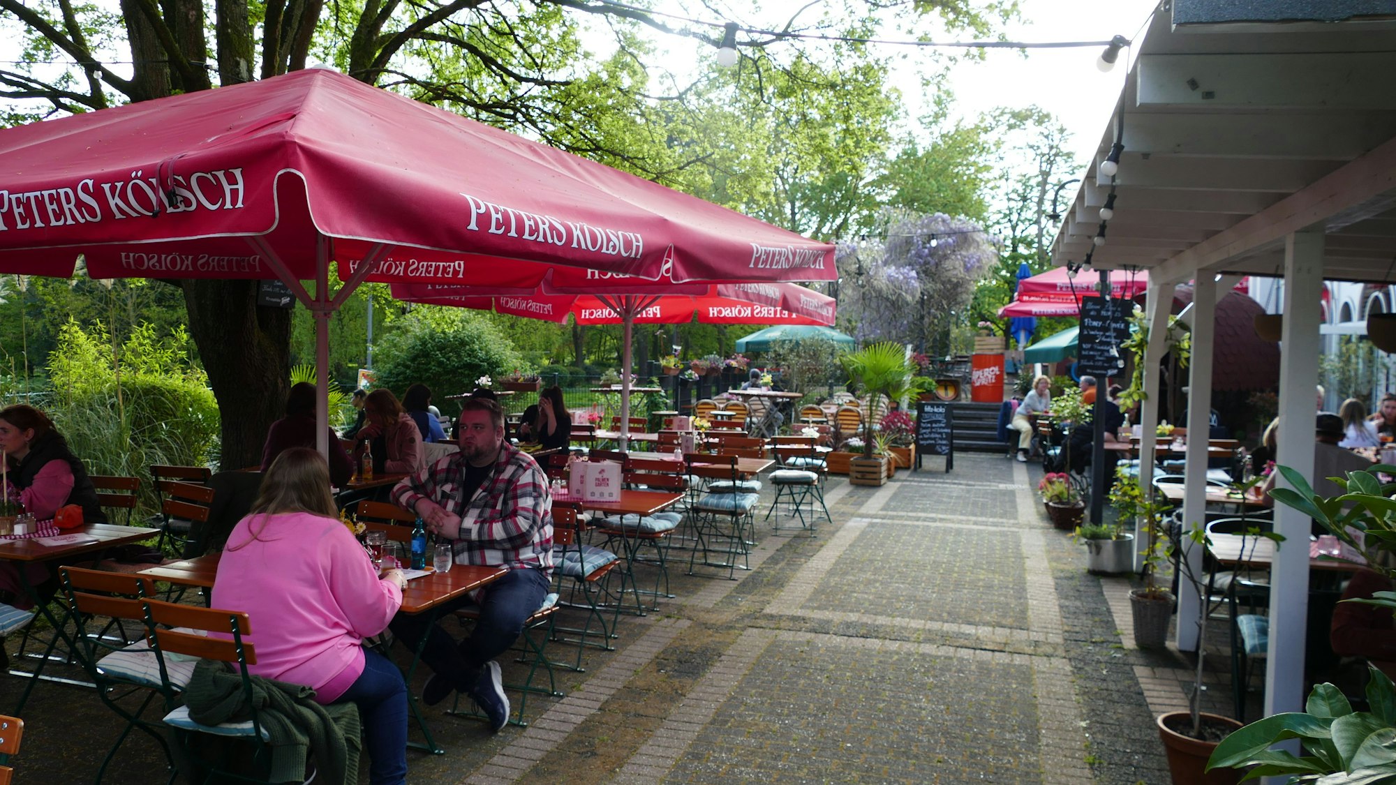Blick in den Weingarten „Palmengarten“ an der Stadthalle Mülheim