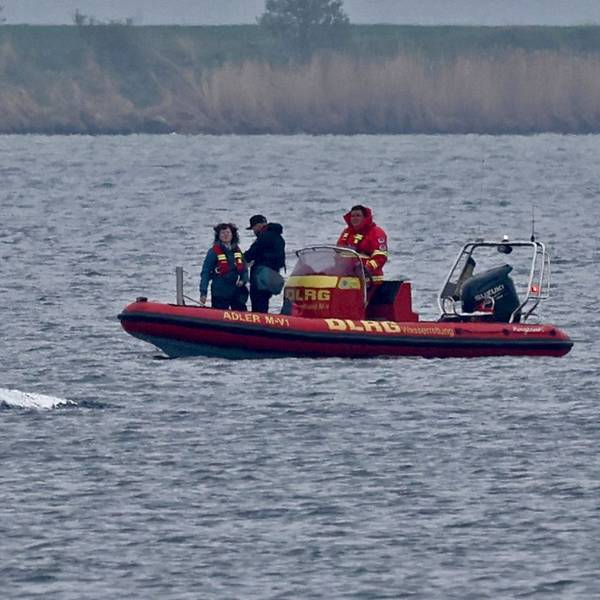 Ein Schlauchboot mit Helfern ist in der Nähe des gestrandeten Wals vor der Ostseeinsel Poel im Einsatz.