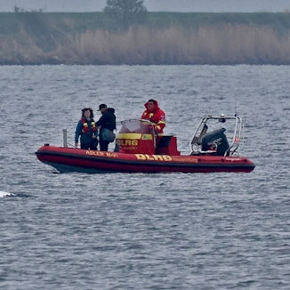 Ein Schlauchboot mit Helfern ist in der Nähe des gestrandeten Wals vor der Ostseeinsel Poel im Einsatz.