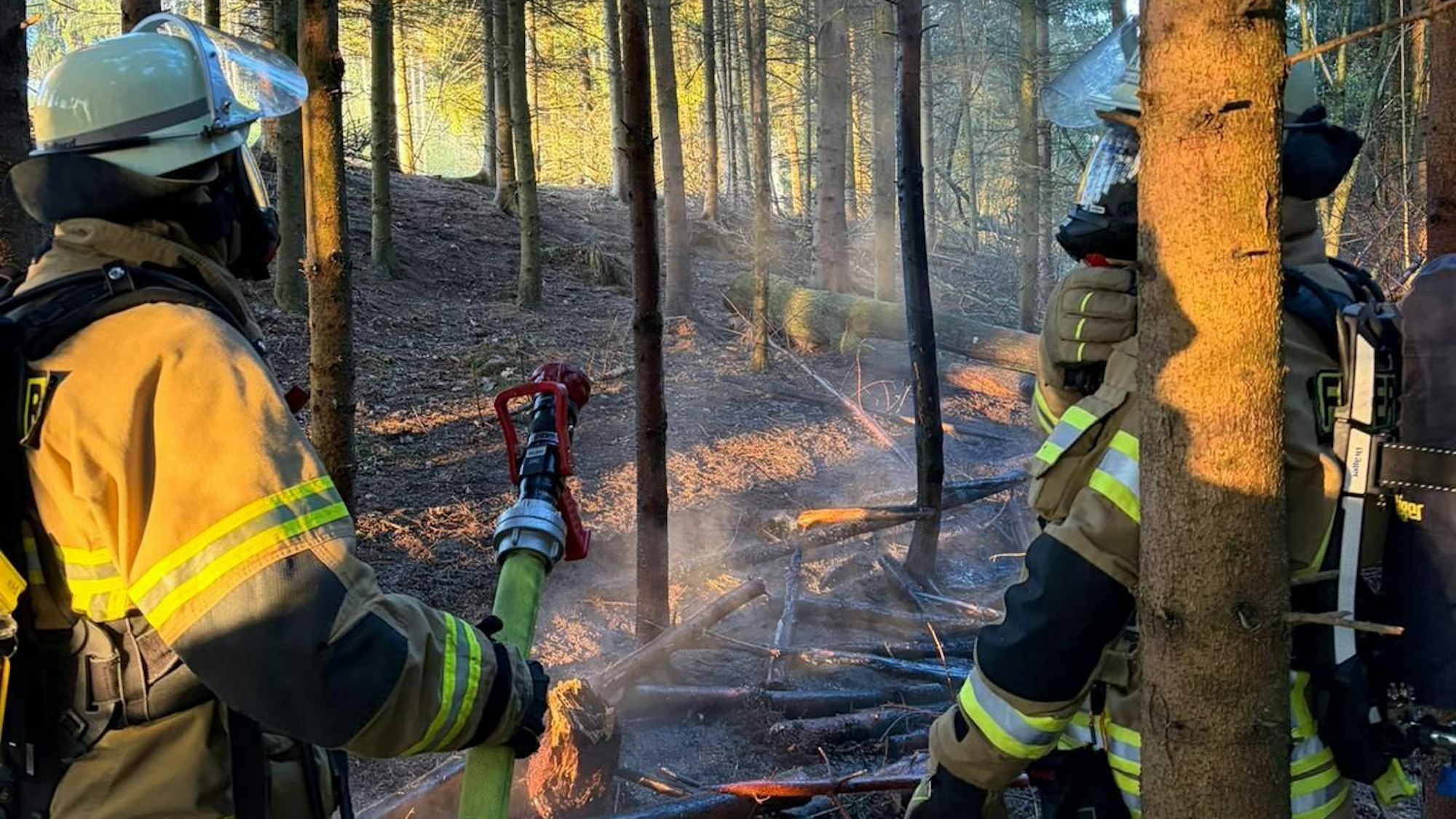 Feruerwehrleute bekämpfen ein kleines Feuer in einem Waldstück.