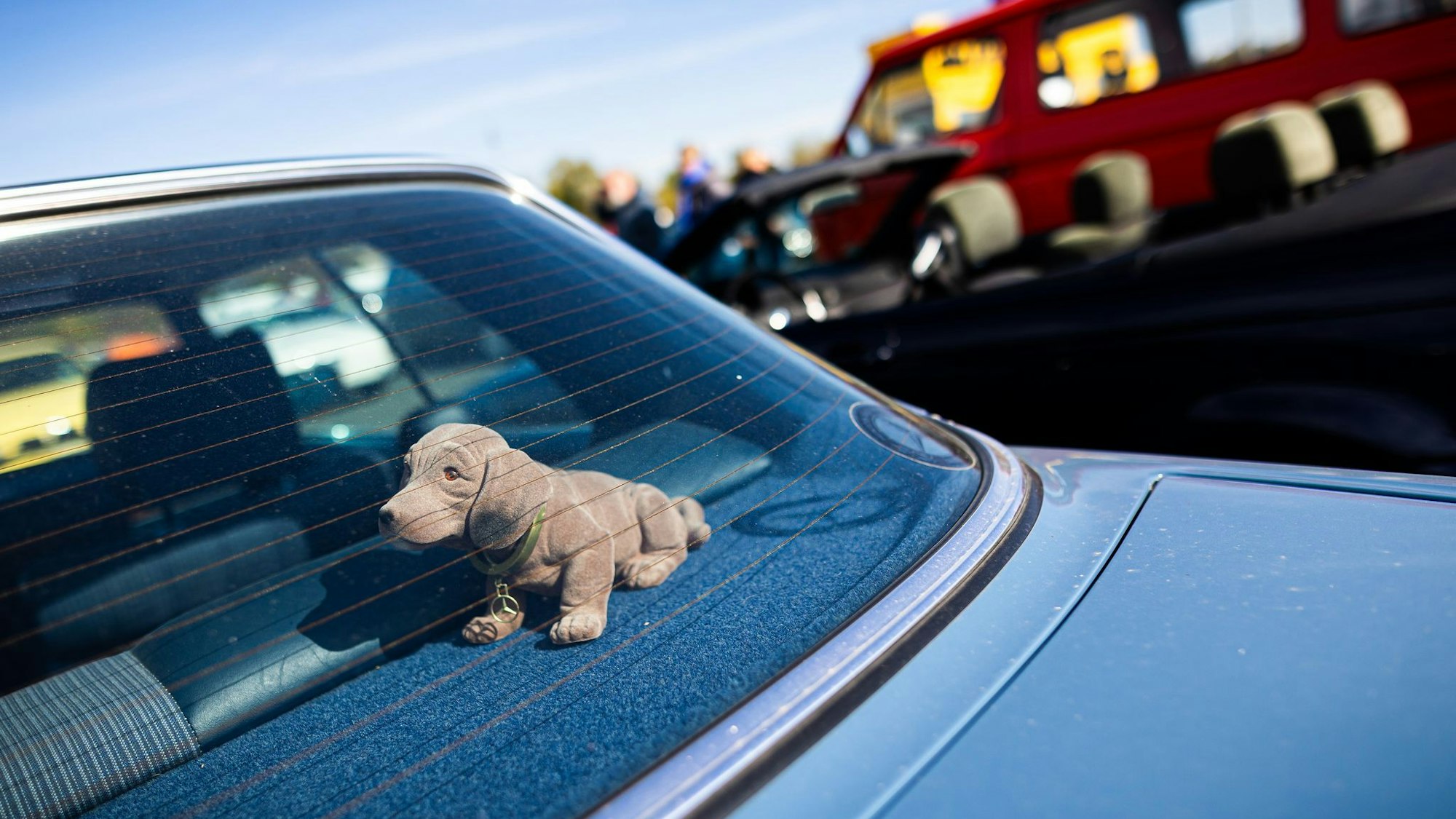 Wackeldackel sitzt in einem Auto