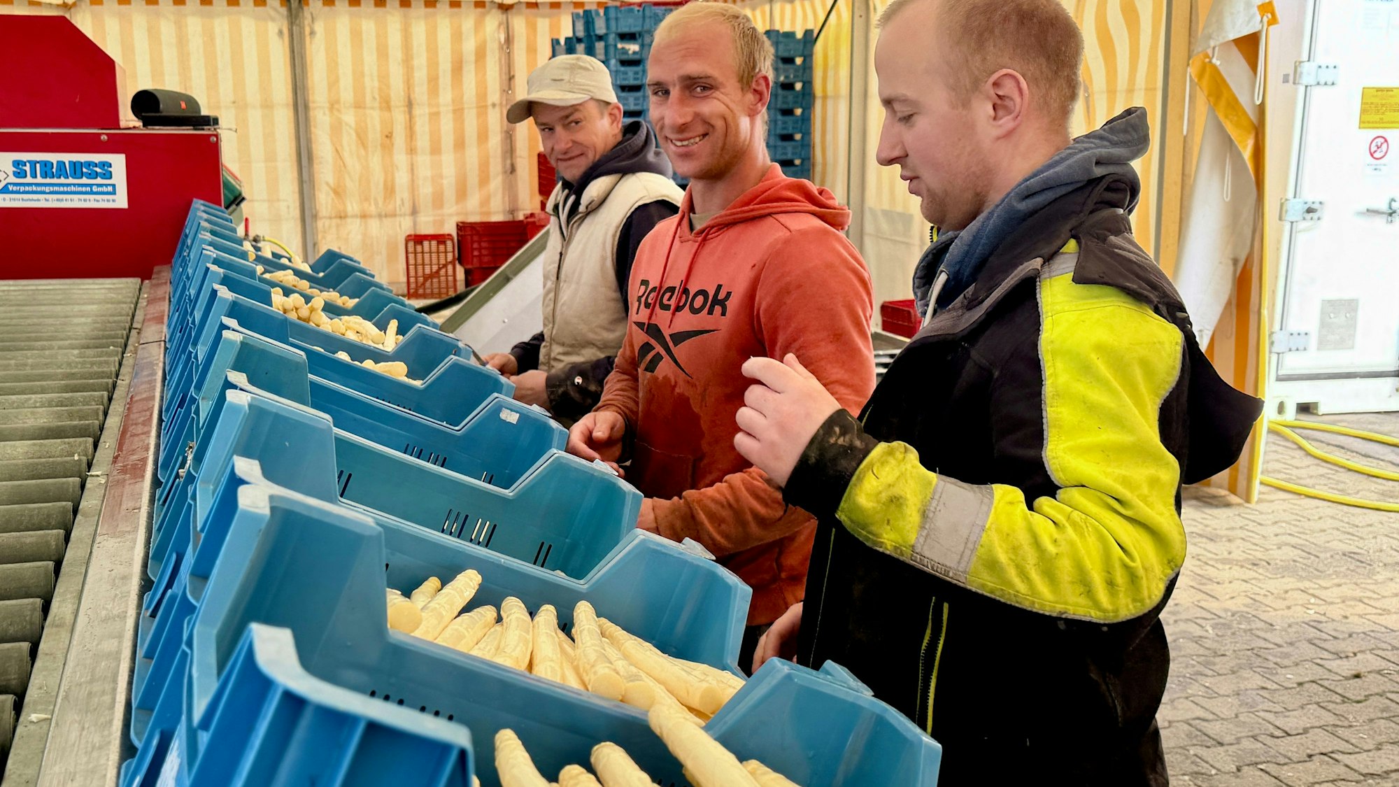Drei Männer stehen an dem Laufband, der den gewaschenen und gesetztutzen Spargel transportiert. Sie sortieren dicke und dünnere Stangen in blaue Kisten.