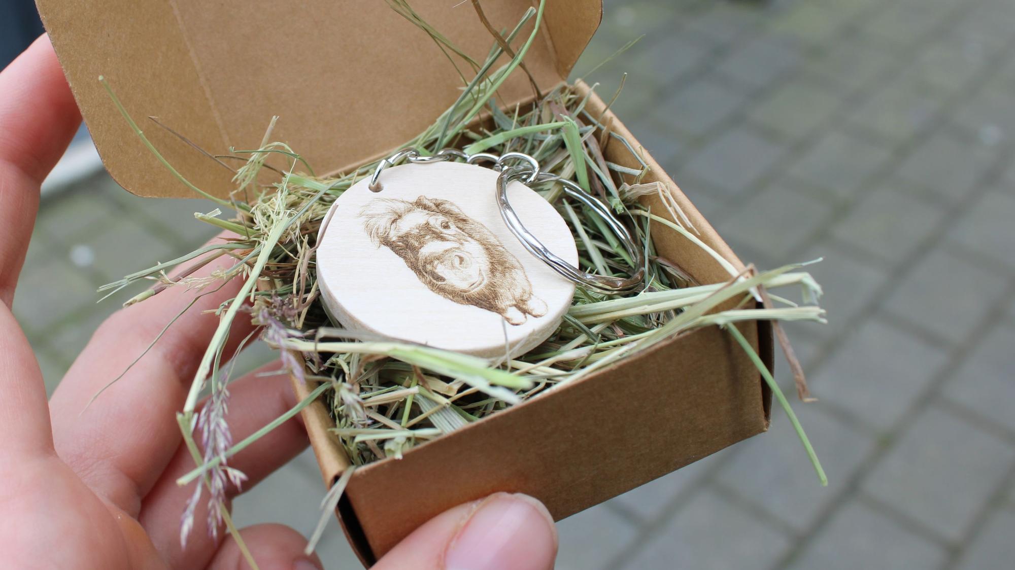 Tara Tierhilfe in Lohmar: Shetlandpony Otto (45) ist zum Instagram-Star geworden. Von ihm gibt es auch Merch - hier ein Schlüsselanhänger.