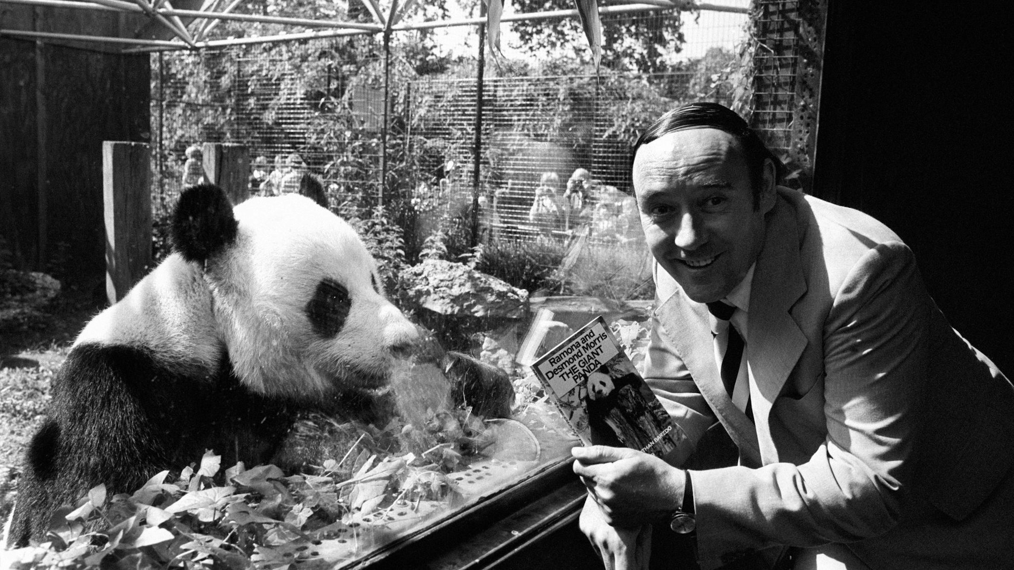 Britischer Zoologe Desmond Morris gestorben