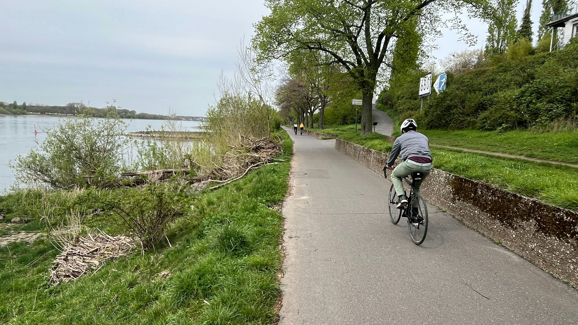 Ein Radweg führt am Rhein entlang.