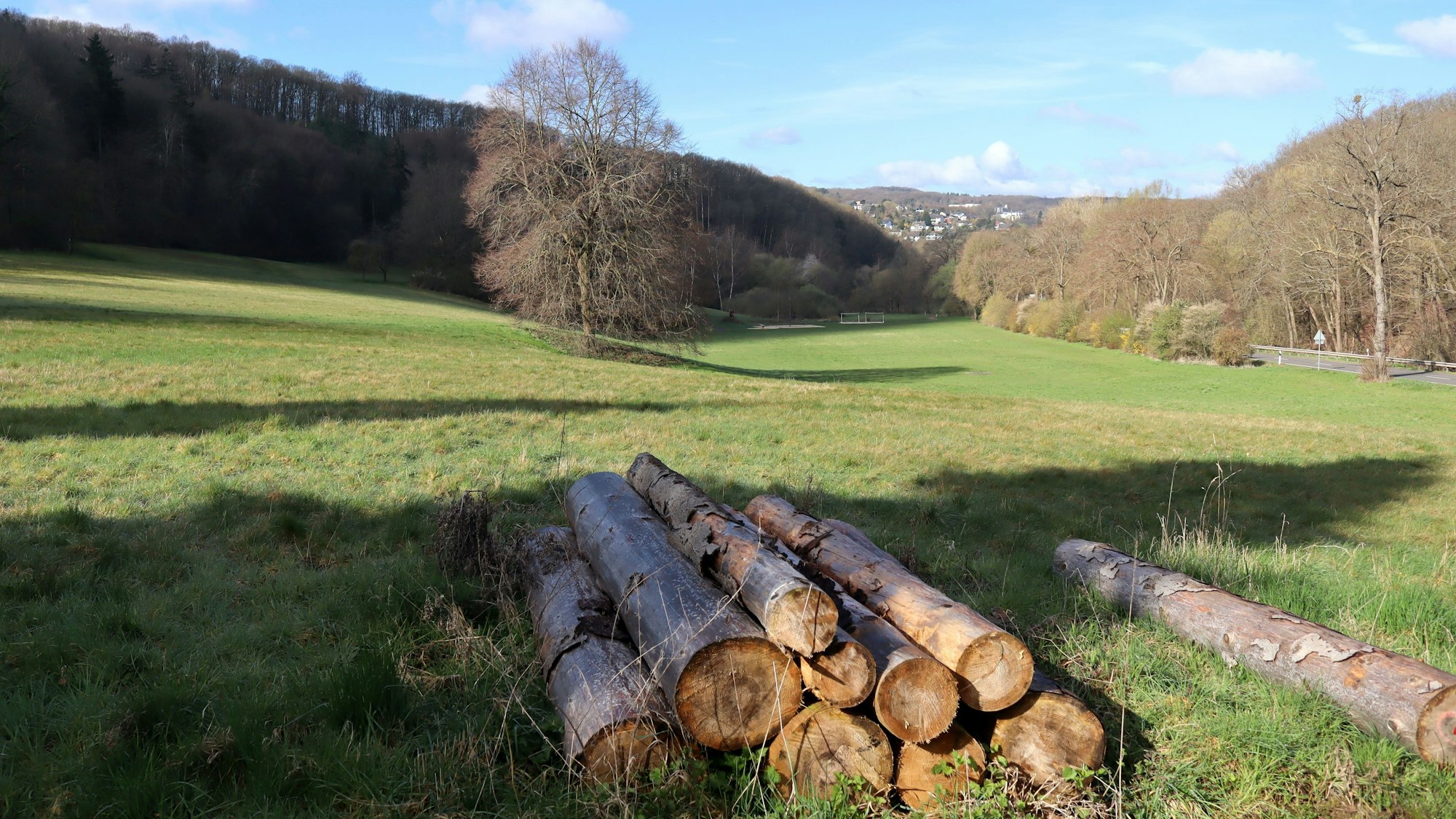 Ein Stapel Holz liegt auf einer Wiese im Schleidpark. Dort soll die neue Grundschule entstehen.