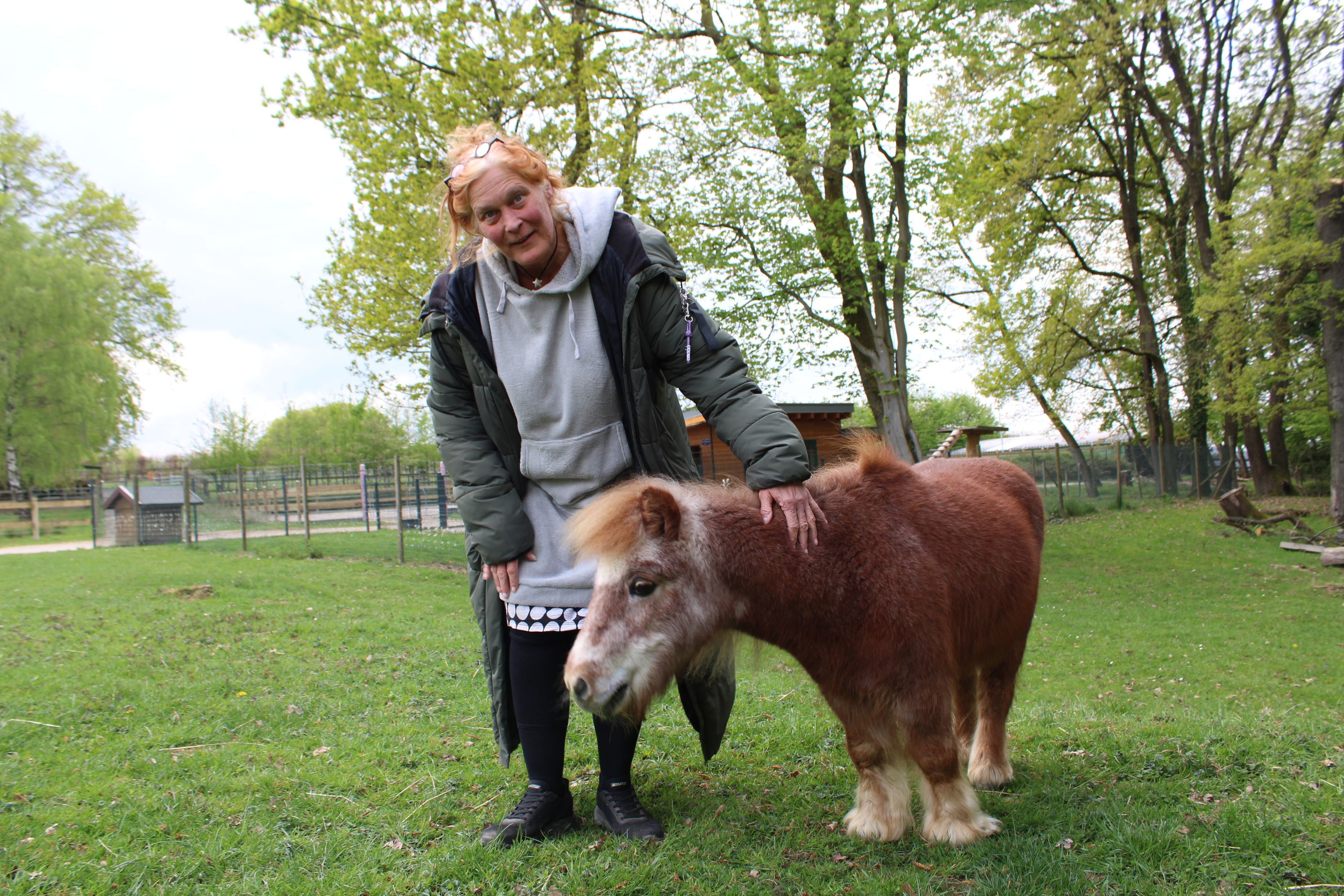 Tara Tierhilfe in Lohmar: Shetlandpony Otto (45) ist zum Instagram-Star geworden