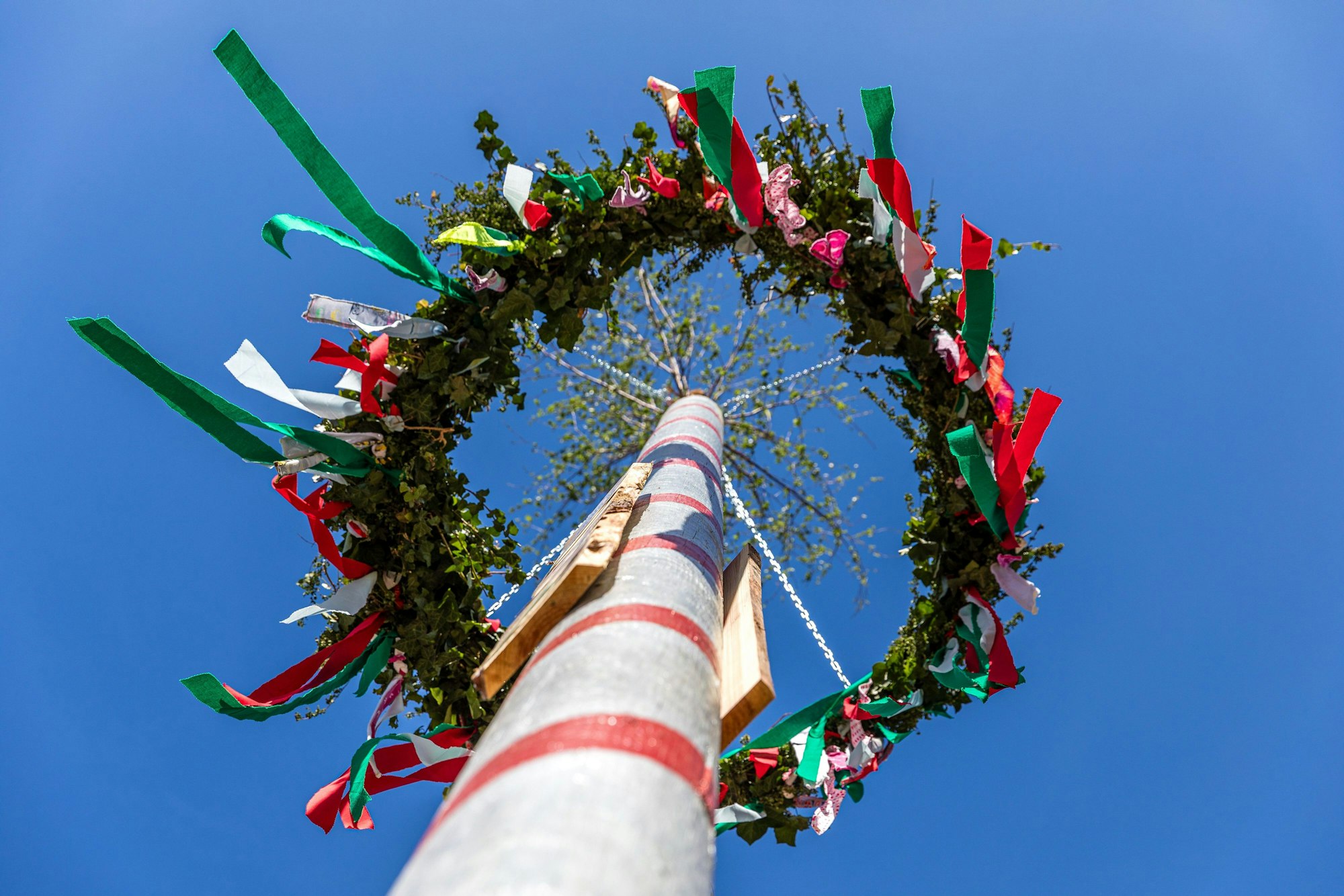 Ein geschmückter Maibaum. (Archivbild)