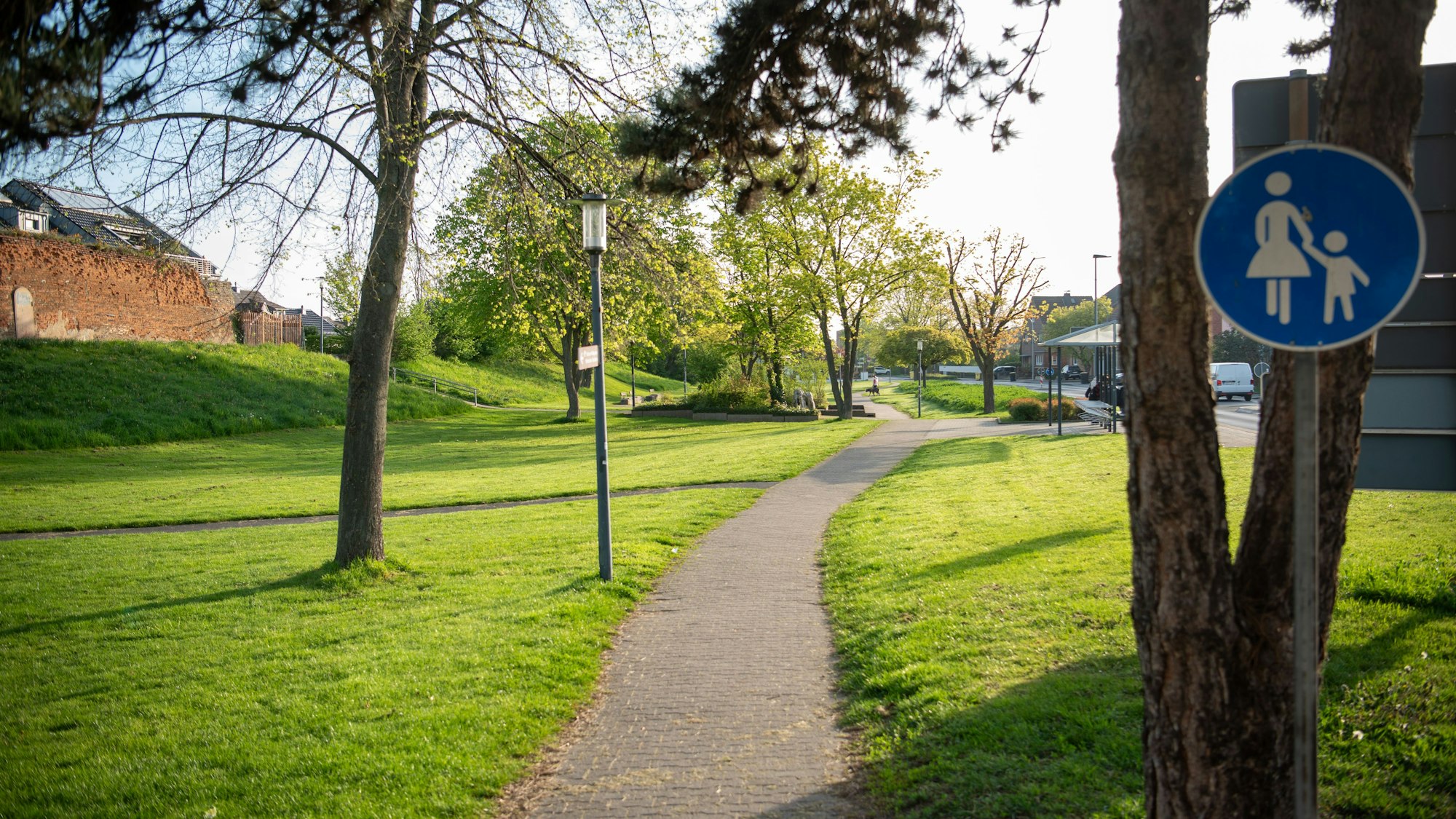 Ein gepflasterter Fußweg führt durch die Grünanlage, die umgestaltet werden soll.