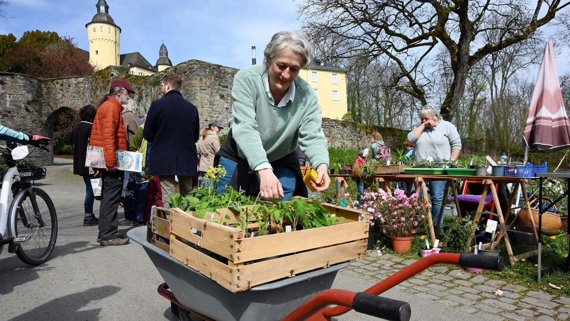 Am Schloss Homburg findet die beliebte Pflanzentauschbörse statt.