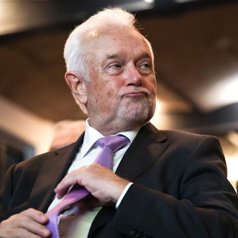 FDP-Politiker Wolfgang Kubicki.