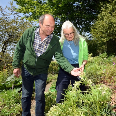 Eine Frau und ein Mann betrachten eine Staude.