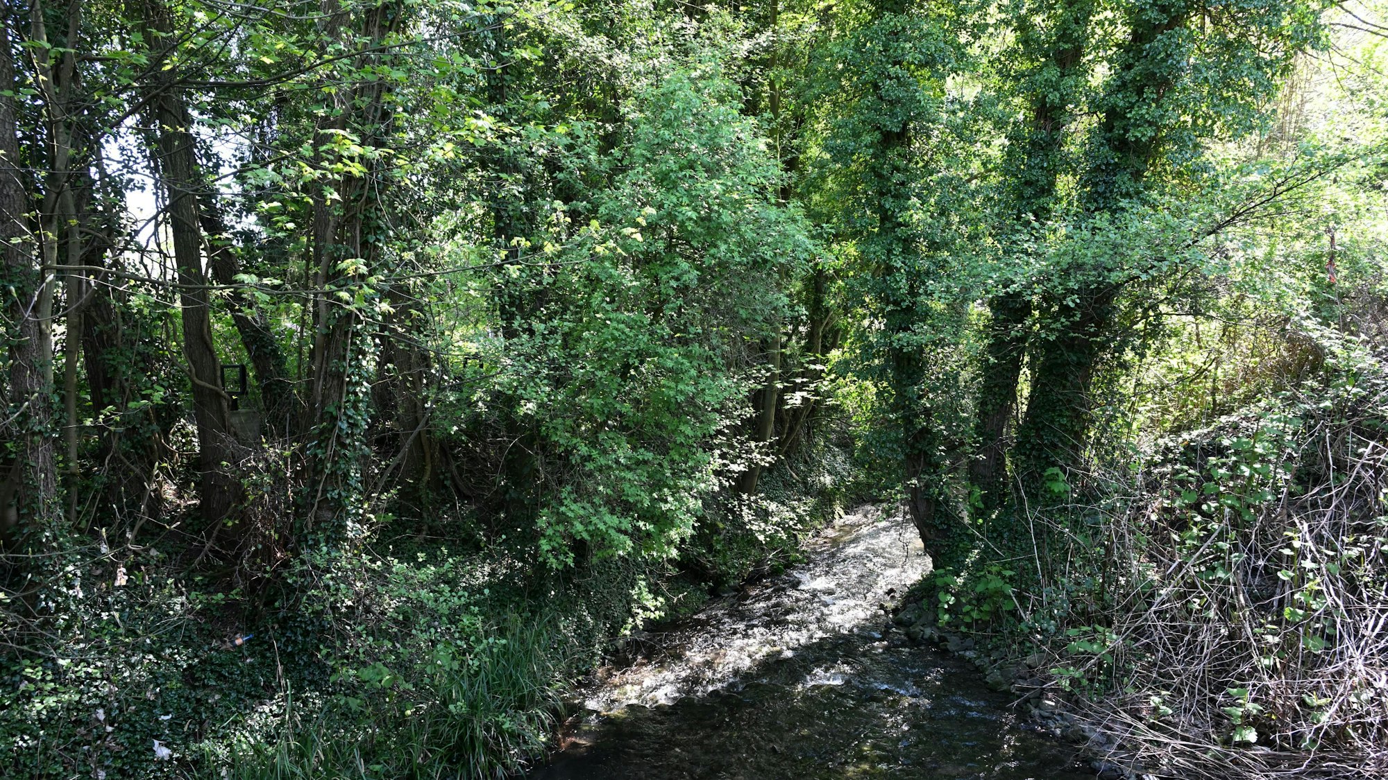 Das Foto zeigt die Strunde
