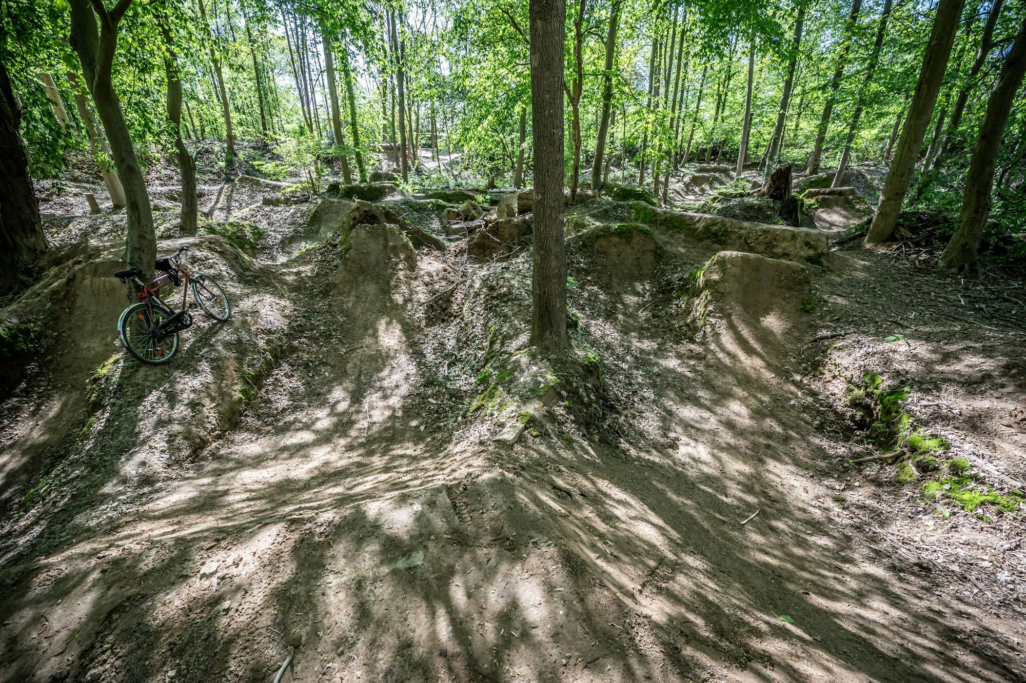 Fahrradstrecke im Wald bei Morsbroich für Mountainbiker. Bild: Ralf Krieger