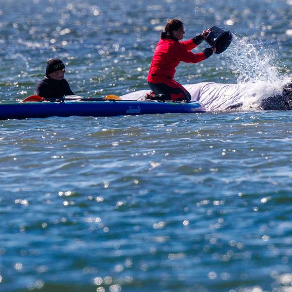 Helfer schütten Wasser auf dem Rücken des Buckelwals „Timmy“ vor der Insel Poel.