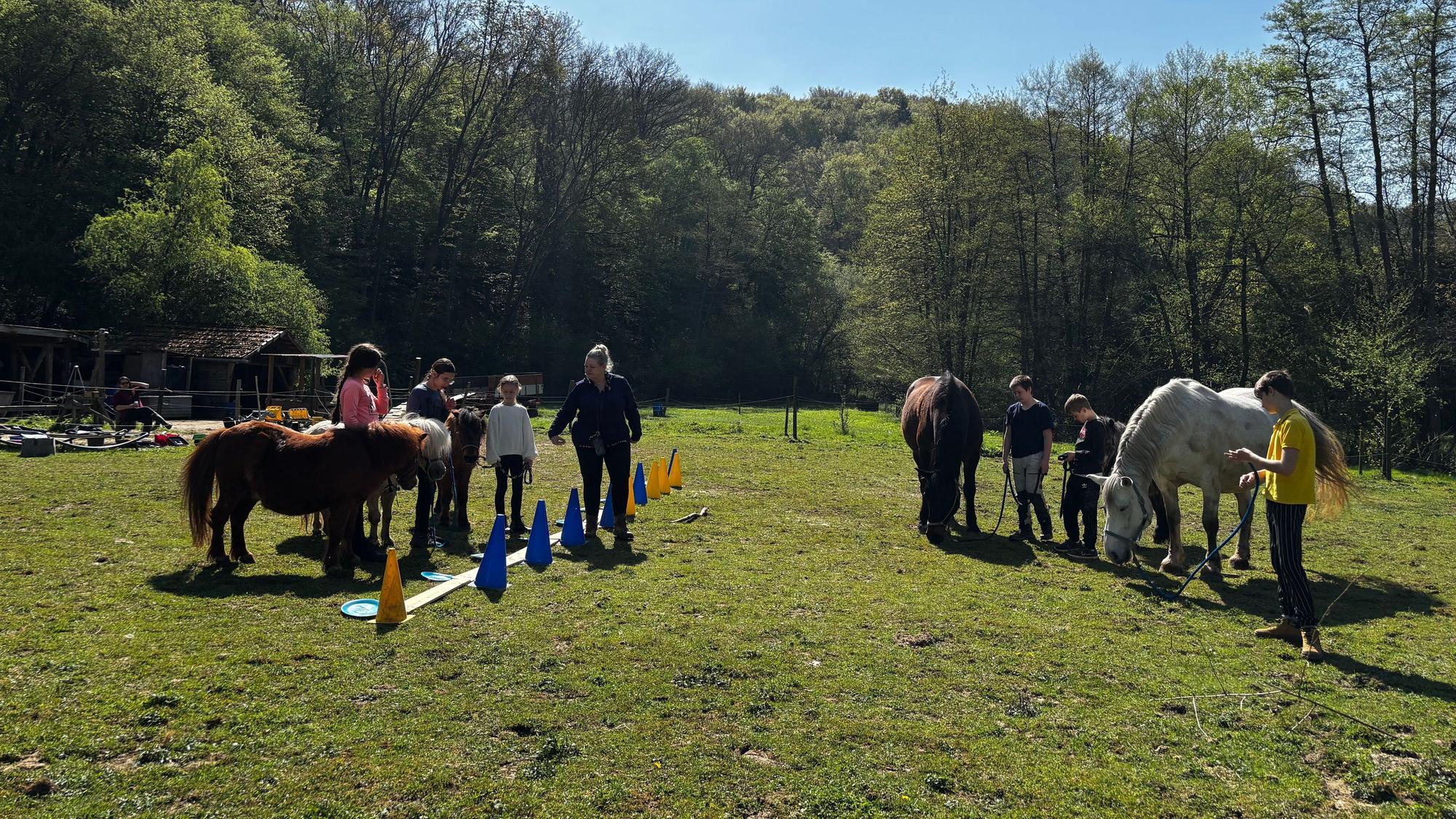 Die Kinder stehen gemeinsam mit den Pferden auf einer Wiese.