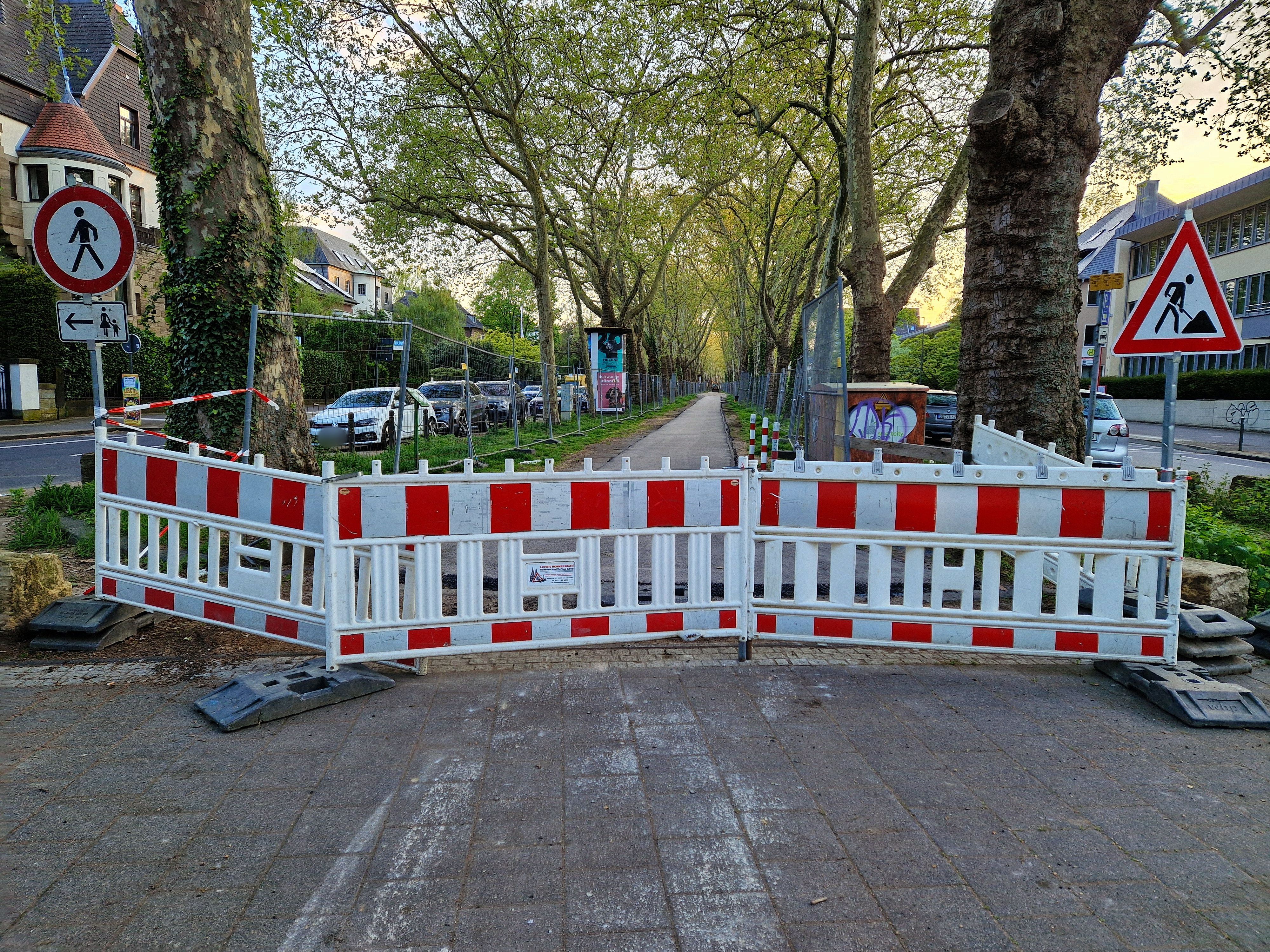 Zu sehen ist der Mittelstreifen des Bayenthalgürtels, der im Abschnitt zwischen Bismarcksäule und „Unter den Ulmen“ derzeit saniert wird.