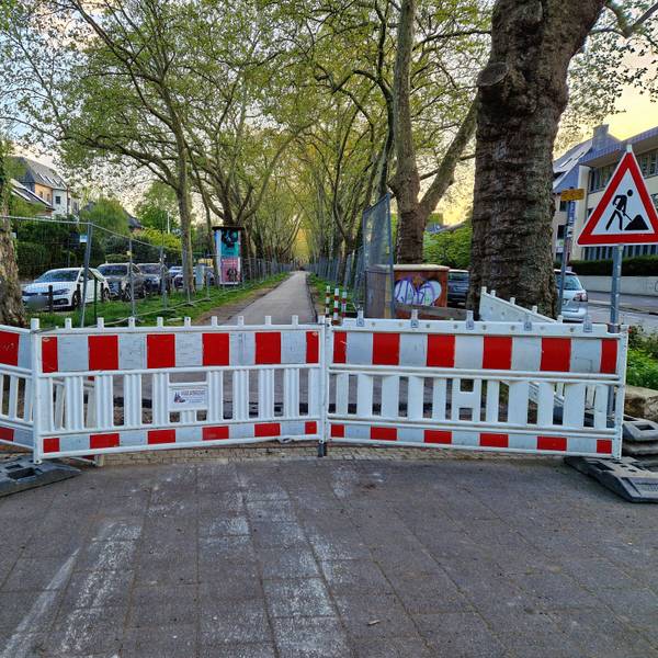 Zu sehen ist der Mittelstreifen des Bayenthalgürtels, der im Abschnitt zwischen Bismarcksäule und „Unter den Ulmen“ derzeit saniert wird.
