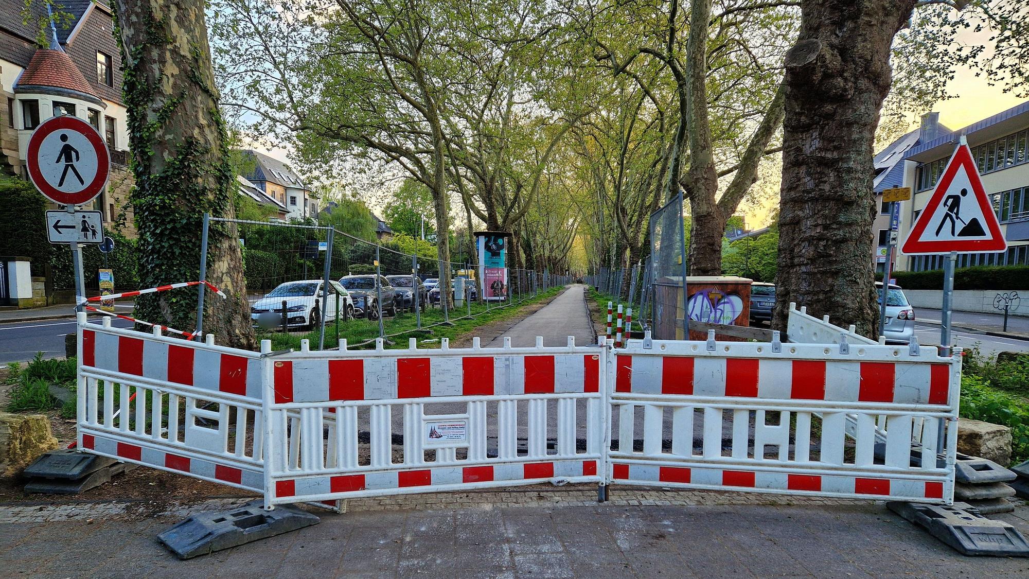 Zu sehen ist der Mittelstreifen des Bayenthalgürtels, der im Abschnitt zwischen Bismarcksäule und „Unter den Ulmen“ derzeit saniert wird.