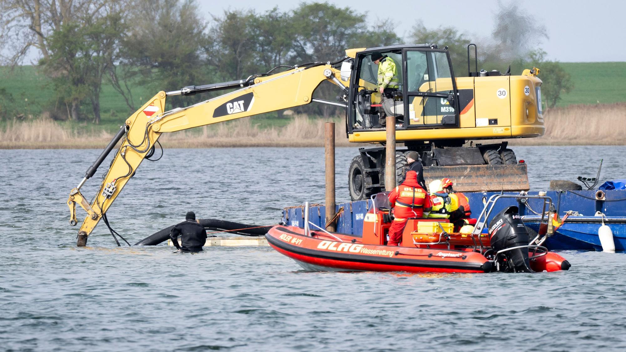 Ein Bagger gräbt eine Rinne für den vor mehr als drei Wochen bei Wismar gestrandeten Buckelwal. Der Aufwand für die Rettung des Tiers ist immens.