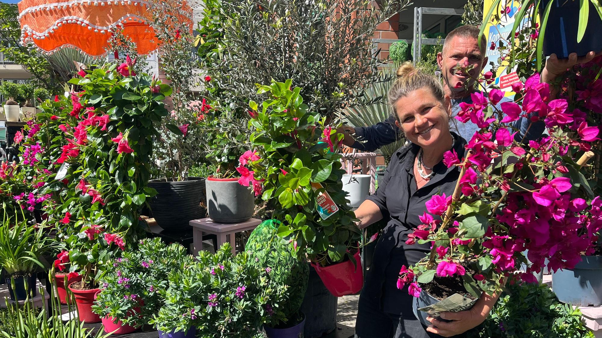 Caroline und Denis Ende haben Blumen aus Amsterdam mit nach Schlebusch gebracht.
