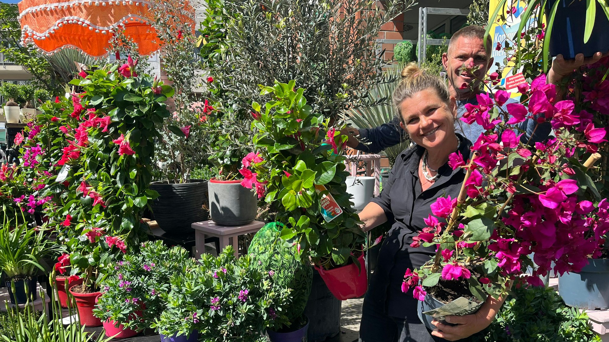 Caroline und Denis Ende haben Blumen aus Amsterdam mit nach Schlebusch gebracht.