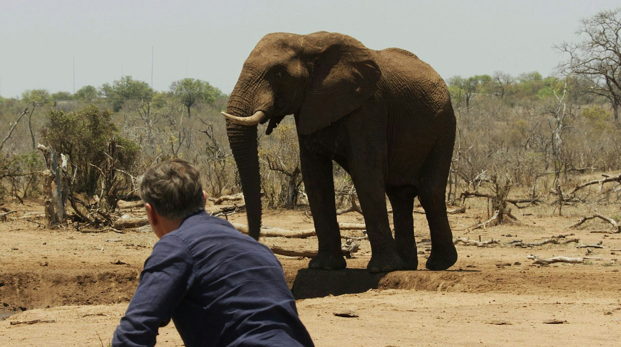 „Heute leben im Park schätzungsweise 30.000 Elefanten. Es gibt viele Stimmen, die sagen: Das sind zu viele“, berichtet Dirk Steffens. (Bild: WDR/Marco Polo Film/Annette Scheurich)