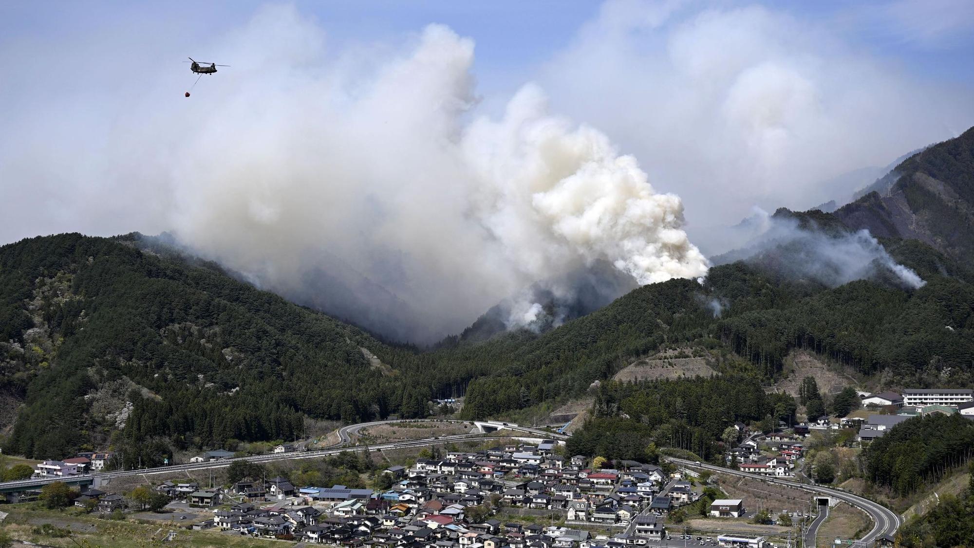 Waldbrand im Nordosten Japans