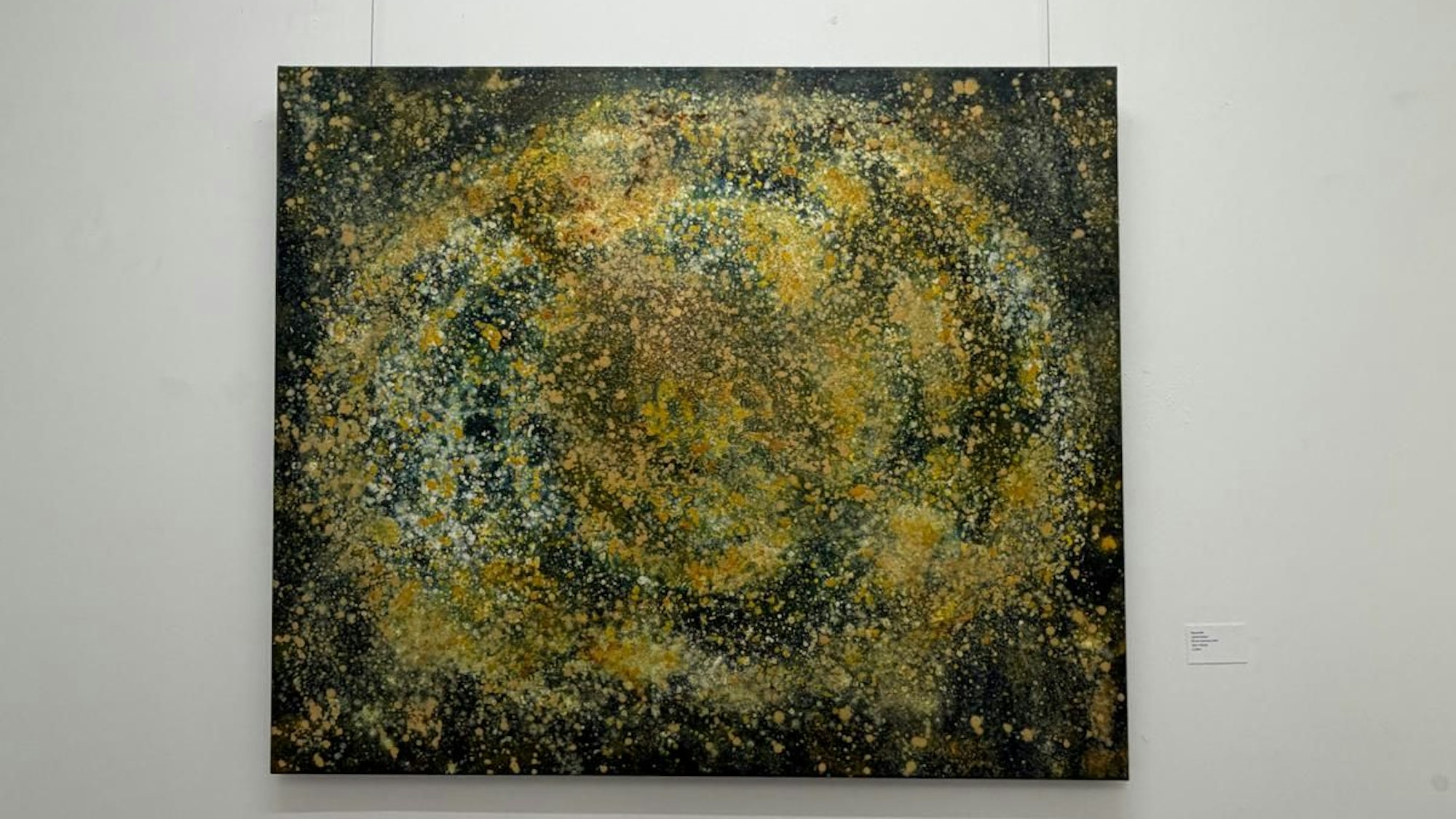 Die mit experimentellen Mischtechniken geschaffenen Bilder von Havva Sari wirken wie eingefrorene Naturprozesse.