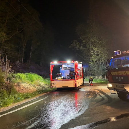 Beiderorts hatten sich die Flammen bereits auf Waldflächen ausgebreitet, sodass weitere Kräfte nachalarmiert werden mussten.
