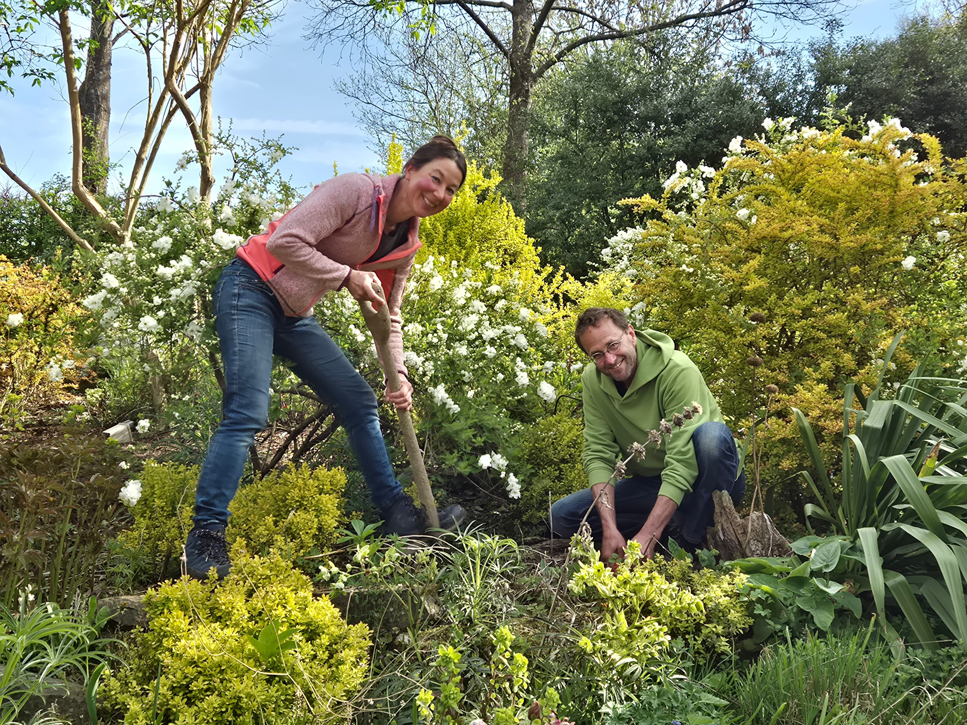 Auch unter großen Bäumen kann man erfolgreich gärtnern. Frank Schroeder und seine Frau Nici Frank wissen, wie es geht.