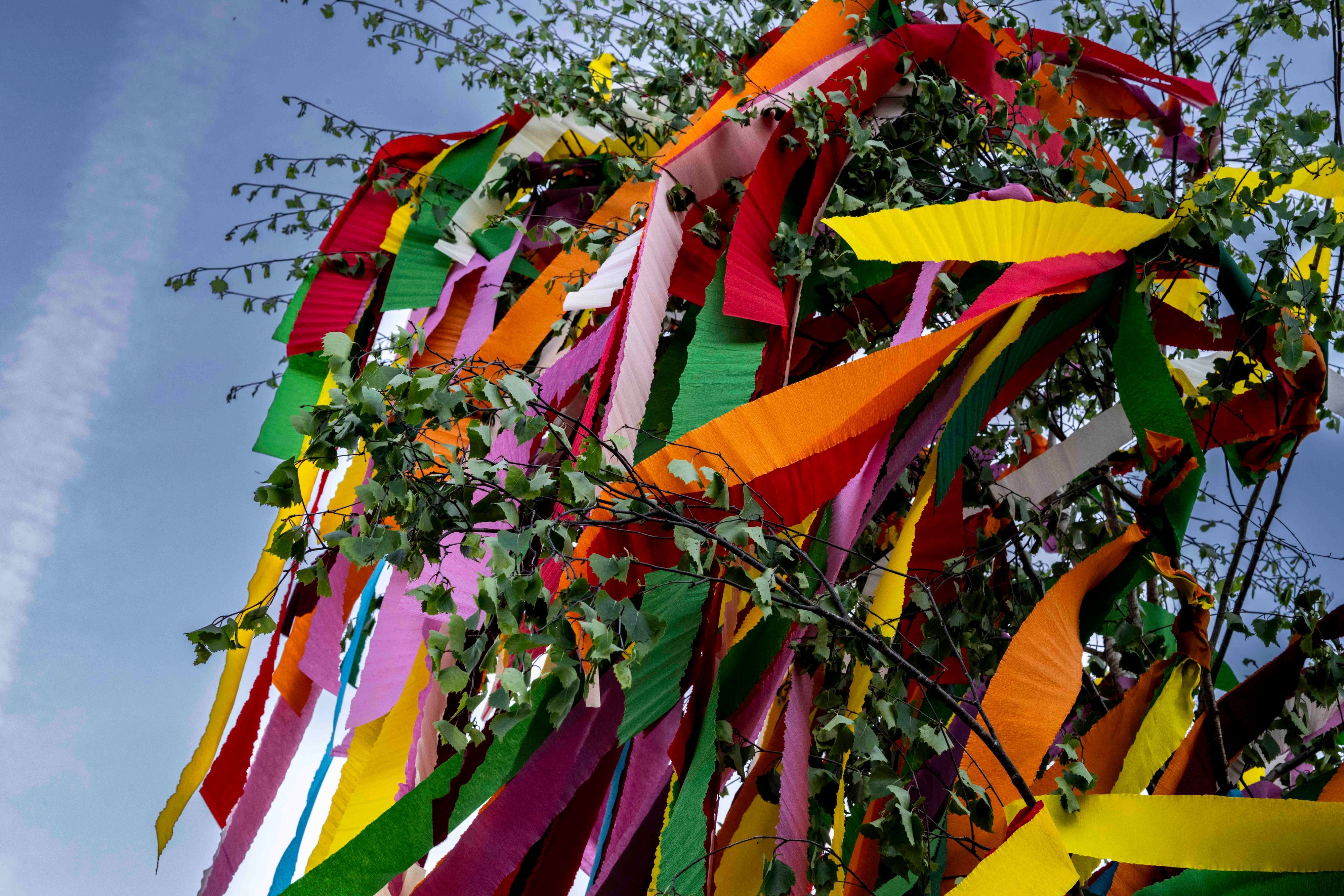 Ein geschmückter Maibaum.