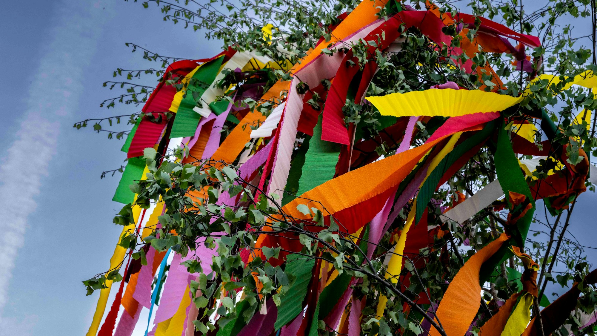 Ein geschmückter Maibaum.