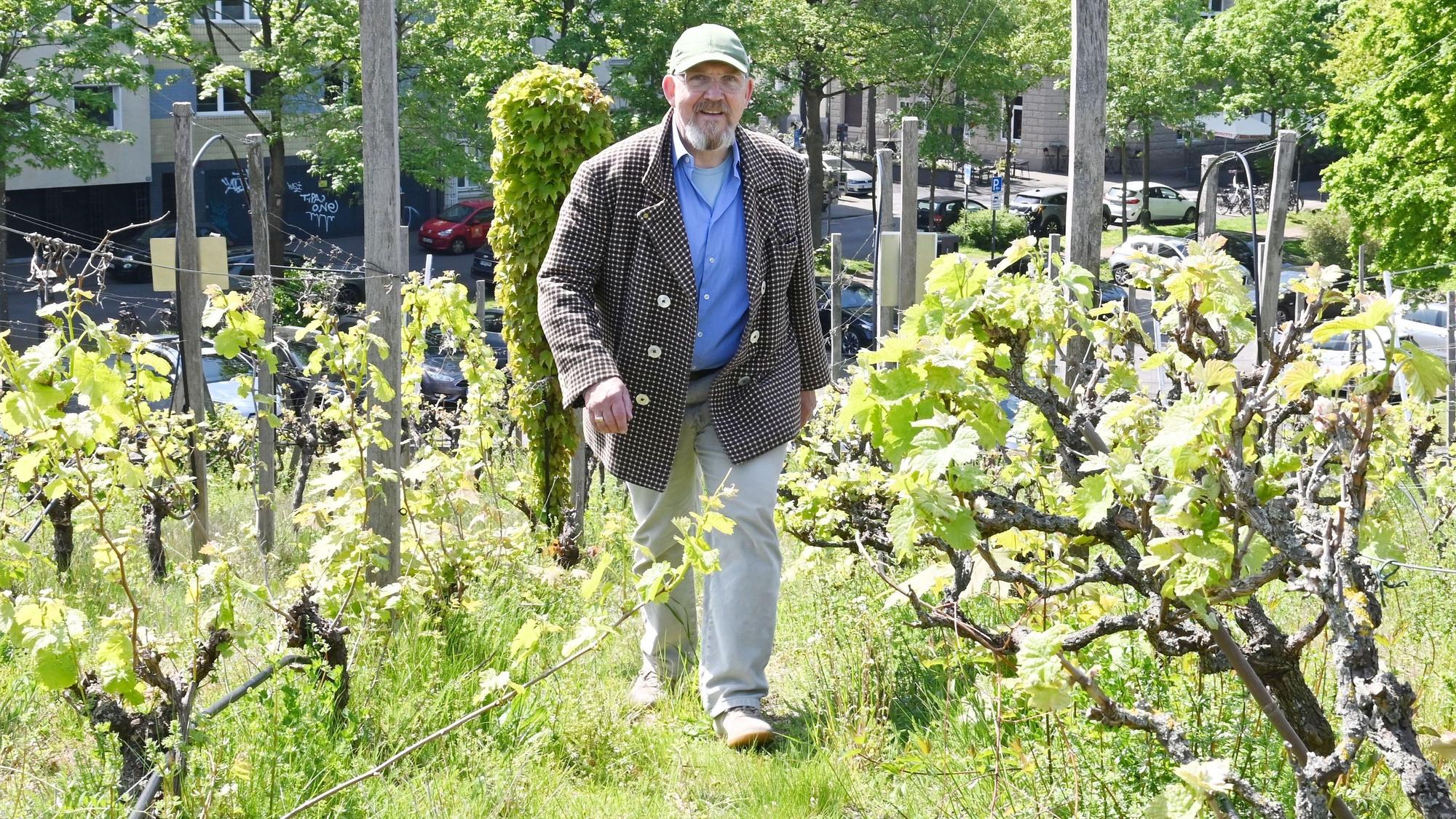 Ein Mann in kariertem Sakko und Jeans läuft durch Weinreben.