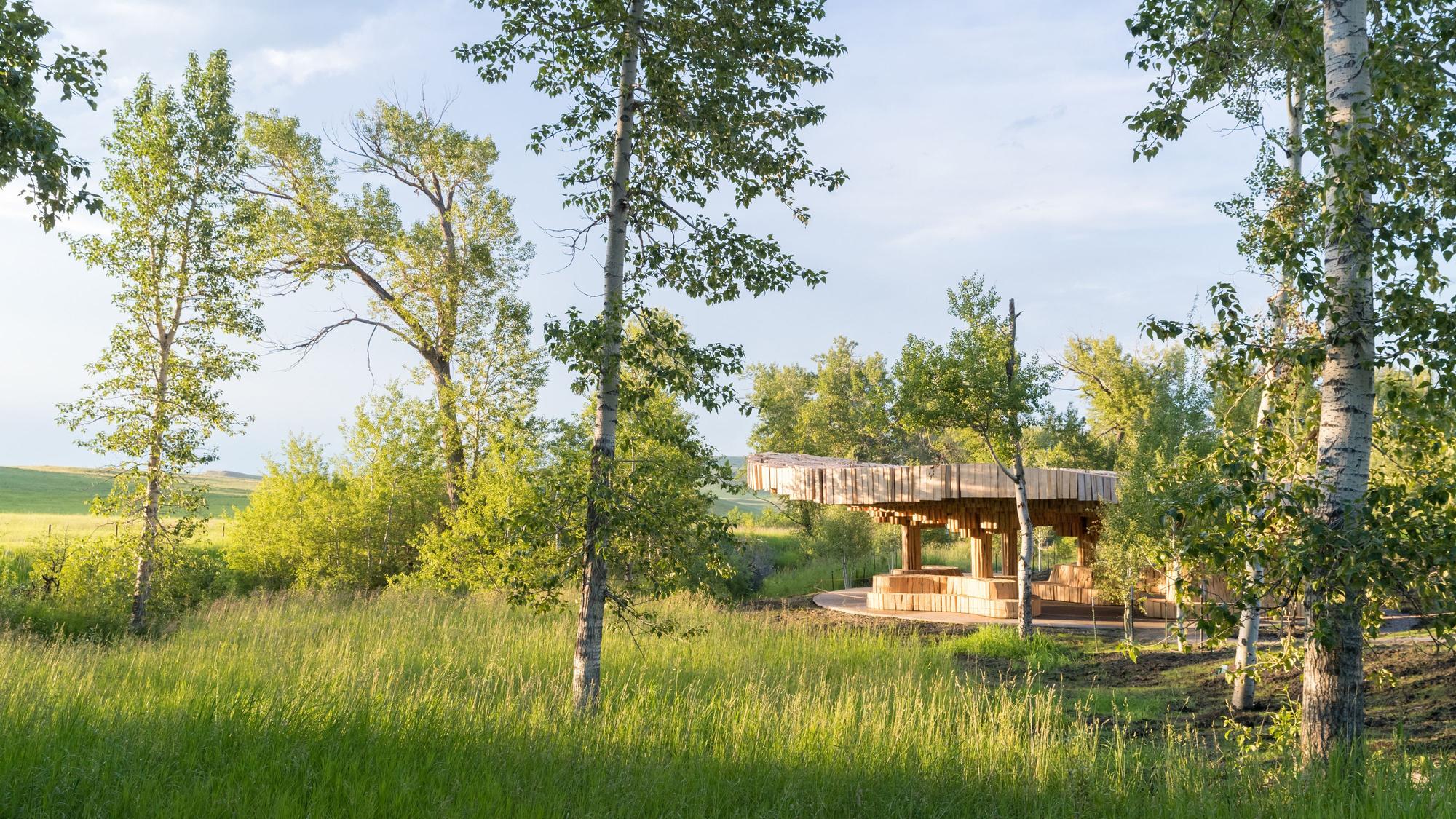 Organisch geformter Holzpavillon in einer Gras- und Birkenlandschaft