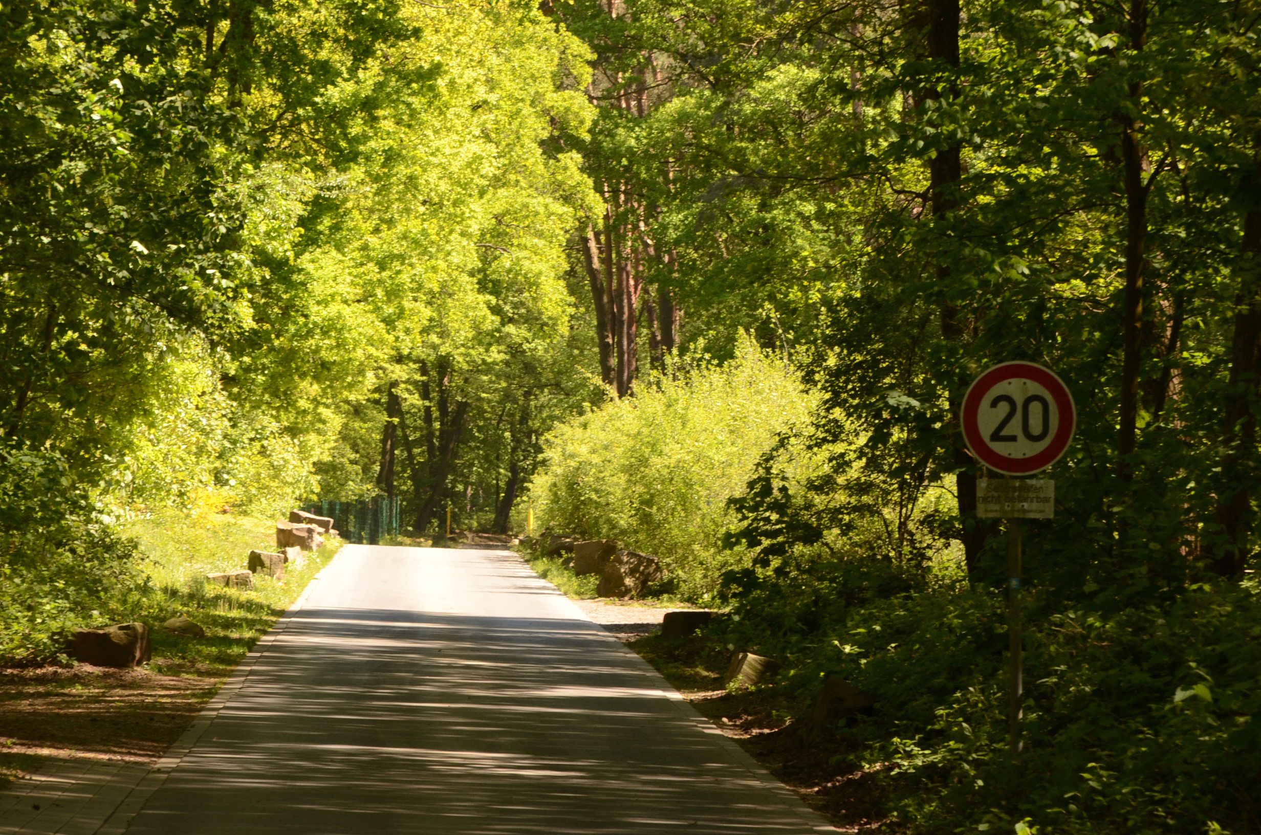 Eine einspurige Straße durch ein Waldstück.