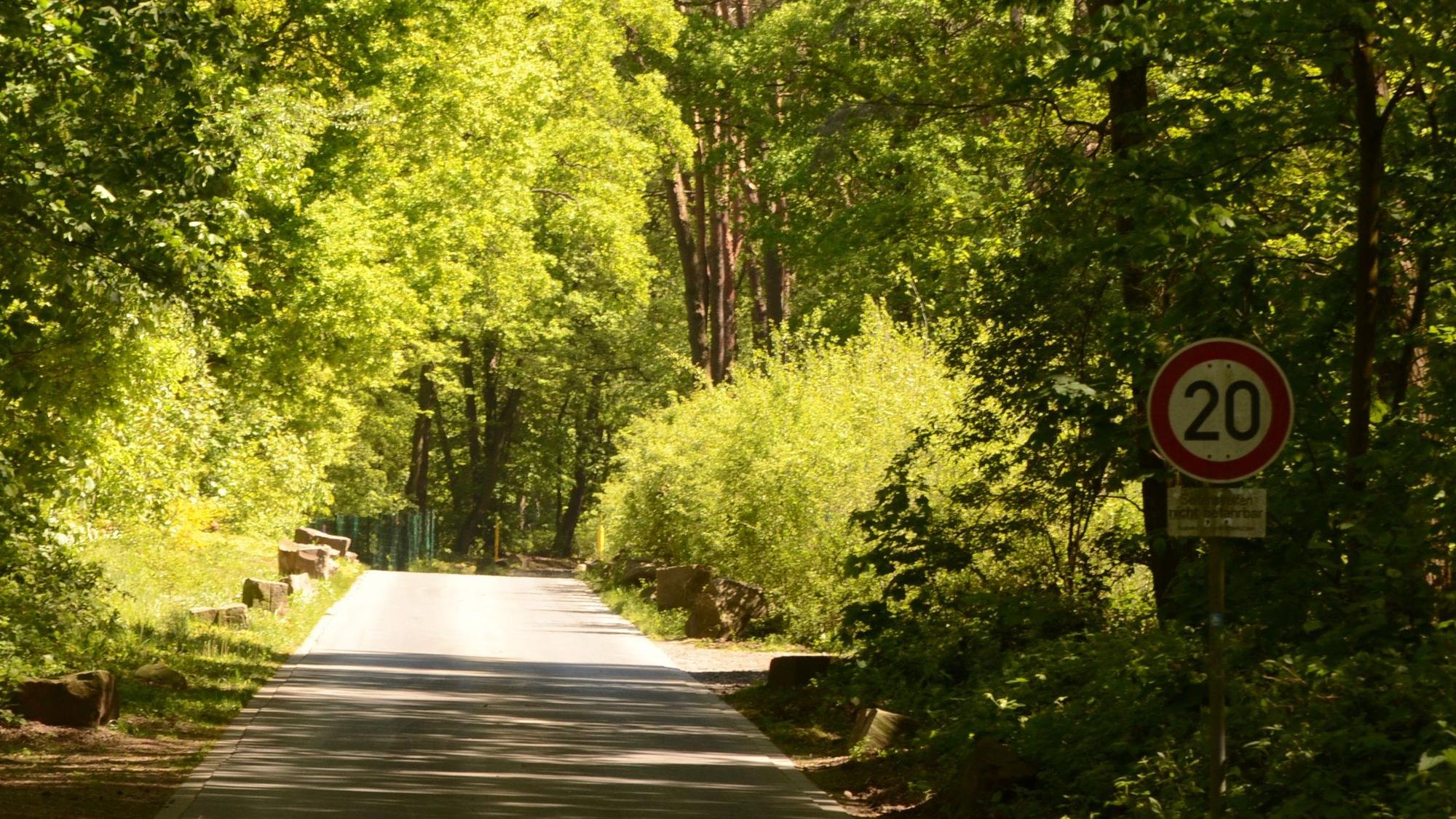 Eine einspurige Straße durch ein Waldstück.