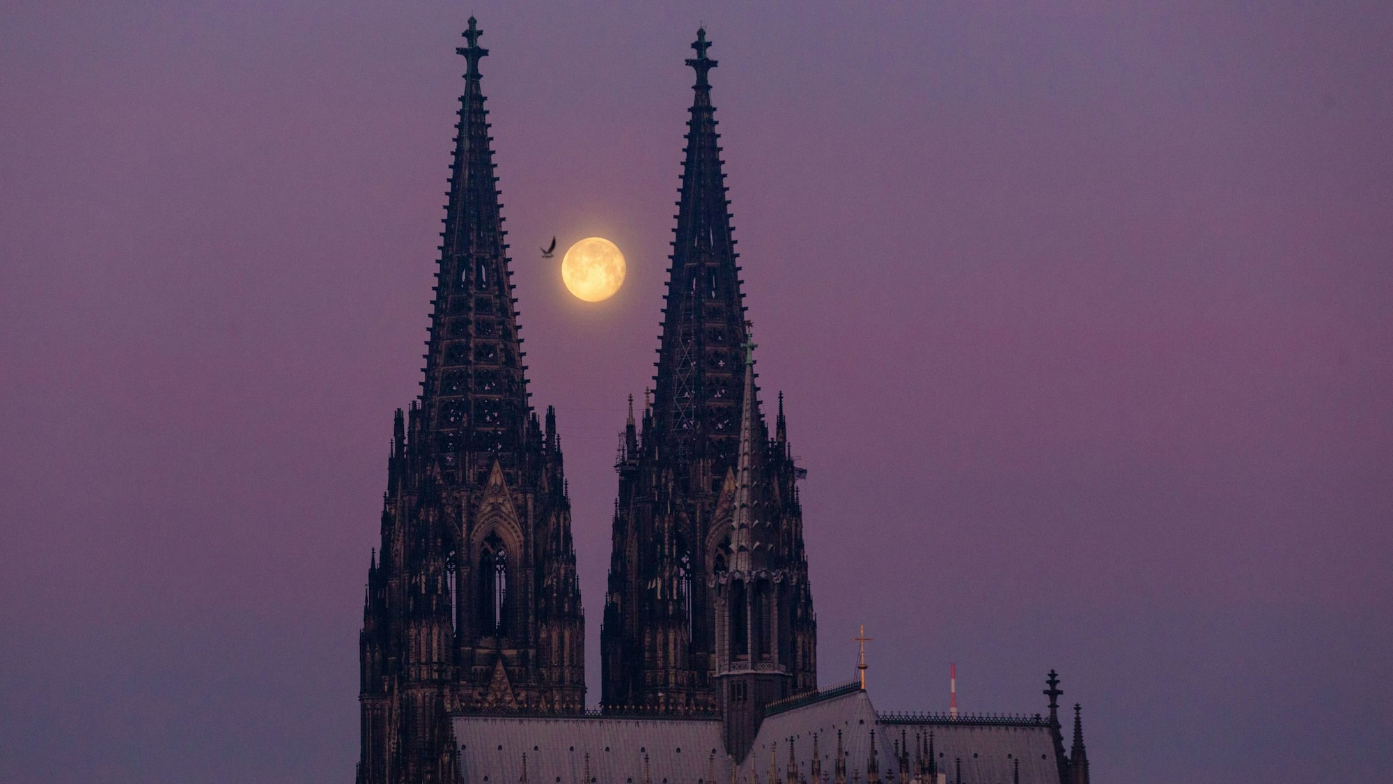 Der abnehmende Mond steht kurz vor Sonnenaufgang zwischen den Türmen des Kölner Dom. Am Freitag, 1. Mai 2026 ist wieder Vollmond. (Archivbild)